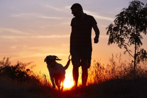 21066194 - young man with his yellow labrador retriever in nature - back lit