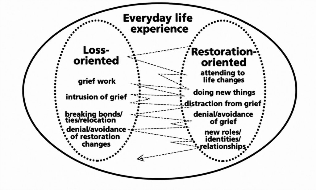 A diagram of the Dual Process Model of Coping with Bereavement, illustrating the oscillation between loss-oriented and restoration-oriented stressors within everyday life experience.