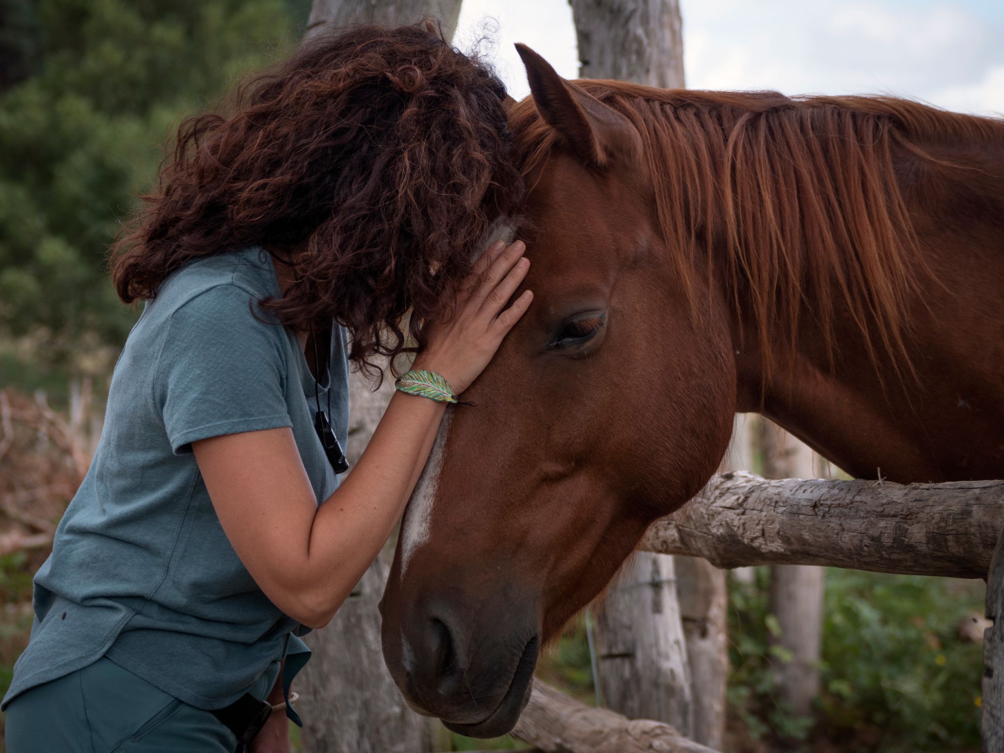 A woman leaning her forehead gently against a brown horse's head over a wooden fence.